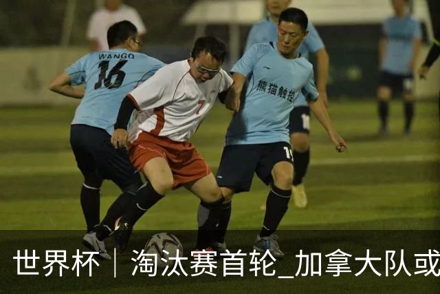 世界杯｜淘汰赛首轮 加拿大队或将祭出雪藏利器