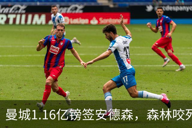 曼城1.16亿镑签安德森，森林咬死现金支付，创英球员转会纪录