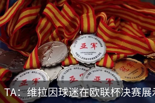 TA：维拉因球迷在欧联杯决赛展示歧视性横幅，被罚款1万欧元